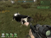 ARMA 2 - Neue Screenshots von JEUXVIDEO.COM