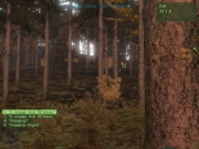 ARMA 2 - Neue Screenshots von JEUXVIDEO.COM