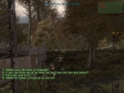 ARMA 2 - Neue Screenshots von JEUXVIDEO.COM