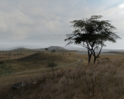 ARMA 2 - Isla Duala v1.31 by IceBreakr