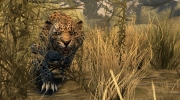 Cabela’s Dangerous Hunts 2011: Erste Bilder zum Jagdspiel