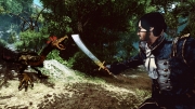 Risen 2: Dark Waters - Erste offizielle Screens zum kommenden Risen 2: Dark Waters.