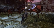 Dungeons & Dragons: Neverwinter - Neue Screens zum Fantasy MMO.