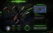 StarCraft II: Heart of the Swarm - Screenshot aus StarCraft II: Heart of the Swarm