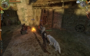 The Witcher - Bild aus der Geralts Companion Wolf Mod