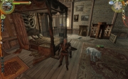 The Witcher: Bild aus der Geralts Companion Wolf Mod