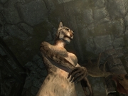 The Elder Scrolls V: Skyrim - Screen aus der Version 1.4 der Nude Females Mod.