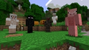 Minecraft - Screenshot aus dem Xbox 360 Skin Pack 2