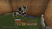 Minecraft - Screenshots zum Artikel