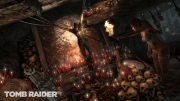 Tomb Raider - Screen aus der E3 2011 Präsentation.