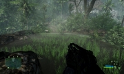 Crysis - Durch das Gras stapfen