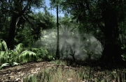 Crysis - Crysis Screenshot Mod