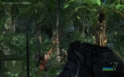 Crysis: Screenshot aus der Crysis Predator Mod
