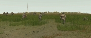 Combat Mission: Battle for Normandy: 20 neue Screenshots zeigen die The Road to Montebourg