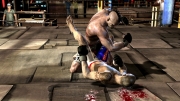 Supremacy MMA - Erste Bilder aus dem Mixed Martial Arts Game