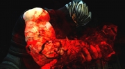 Ninja Gaiden 3: Neuer Screenshot aus dem Schnetzelspiel