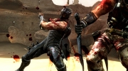 Ninja Gaiden 3: Neuer Screenshot aus dem Schnetzelspiel