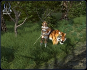 Sacred 2: Fallen Angel - Screenshot - Sacred 2: Fallen Angel