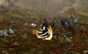 Sacred 2: Fallen Angel - Screenshot - Sacred 2: Fallen Angel