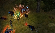 Sacred 2: Fallen Angel - Screenshot - Sacred 2: Fallen Angel