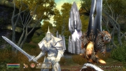 The Elder Scrolls IV: Oblivion - 