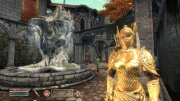 The Elder Scrolls IV: Oblivion - 