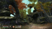 The Elder Scrolls IV: Oblivion - 