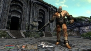 The Elder Scrolls IV: Oblivion - 