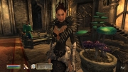 The Elder Scrolls IV: Oblivion - 