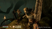 The Elder Scrolls IV: Oblivion - 