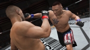 UFC Undisputed 3: Screenshot aus dem neuesten Teil der Mixed Martial Arts-Serie