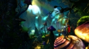 Trine 2 - Screen zum Adventure.