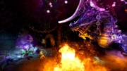 Trine 2: Screen zum Action Adventure.