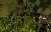 Darkfall Online - Preview Screens.