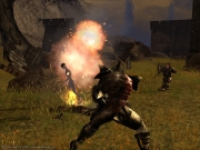 Darkfall Online: Preview Screens.