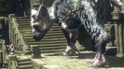 The Last Guardian - Screenshot aus dem Action-Adventure