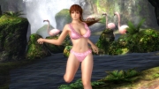 Dead or Alive 5 - Screenshot zu den Premium-Bikinis