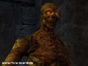 Return to Castle Wolfenstein - Der Zombie im Einzelspieler-Modus von Return to Castle: Wolfenstein.