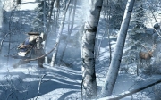 Assassin's Creed 3 - Erstes Bildmaterial aus dem Action-Adventure