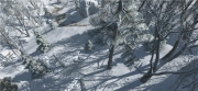 Assassin's Creed 3 - Neuer Screenshot aus Teil 3 des Action-Adventures