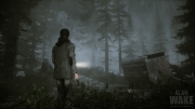 Alan Wake - Screenshot - Alan Wake