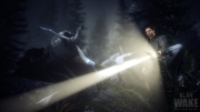 Alan Wake - Screenshot - Alan Wake