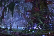 The Elder Scrolls Online - Erste Bilder zum kommenden TES MMO.