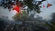 The Elder Scrolls Online - Argonian homeland of Black Marsh