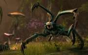 The Elder Scrolls Online - Screenshot aus dem MMO