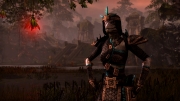 The Elder Scrolls Online - Neue Screens aus Tamril.