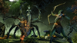 The Elder Scrolls Online: Feiertages Event