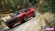 Forza Horizon: Screenshot zum Rally Expansion Pack