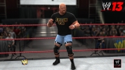 WWE 13: Stone Cold Screenshot