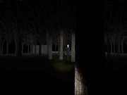 Slender: The Arrival - Screen aus dem Horror Adventure.